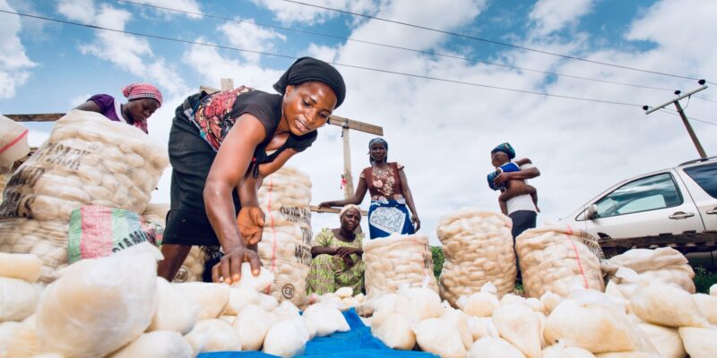 Women sell fufu at market in Abuja, Nigeria. ©IFPRI/Milo Mitchell, Flickr (CC BY-NC-ND 2.0 DEED)