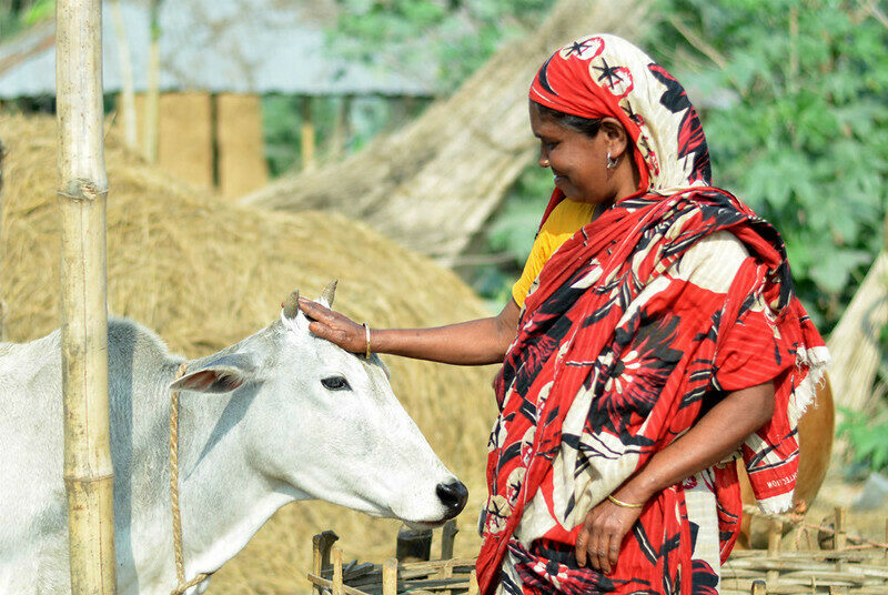 A dairy farmer in Bangladesh ©Akram Ali/CARE Bangladesh