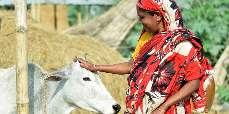 A dairy farmer in Bangladesh ©Akram Ali/CARE Bangladesh