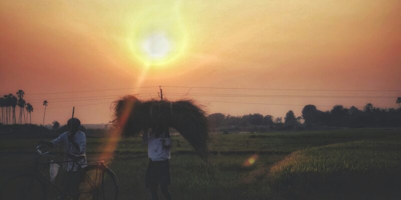 Developing countries need support adapting to deadly heat