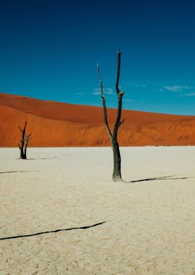 Submission to the Australian Climate Change Authority