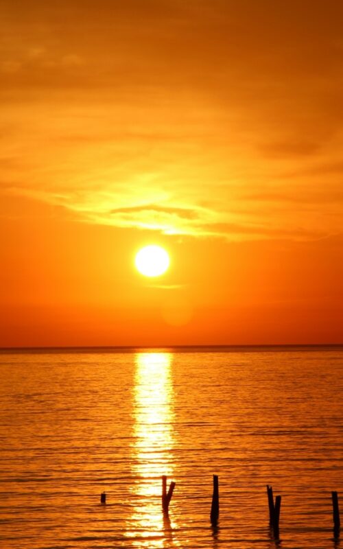 Bill Hare comments on WMO 2025 Update