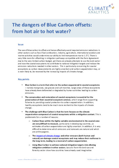The dangers of blue carbon offsets: from hot air to hot water?
