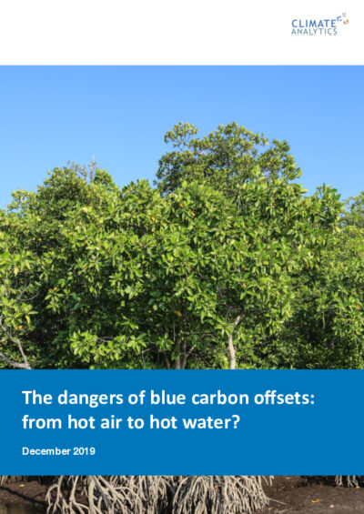 Update: the dangers of blue carbon offsets: from hot air to hot water?