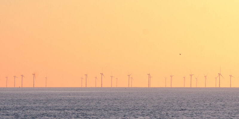 Brighton wind turbines Photo by Theodor Vasile on Unsplash