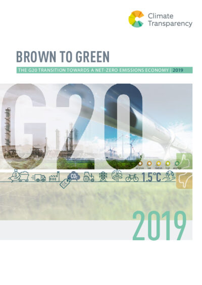 G20 Brown to Green Report 2019