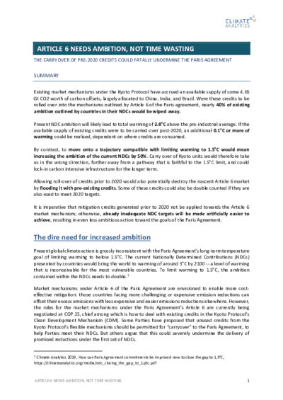 Article 6 needs ambition, not time wasting