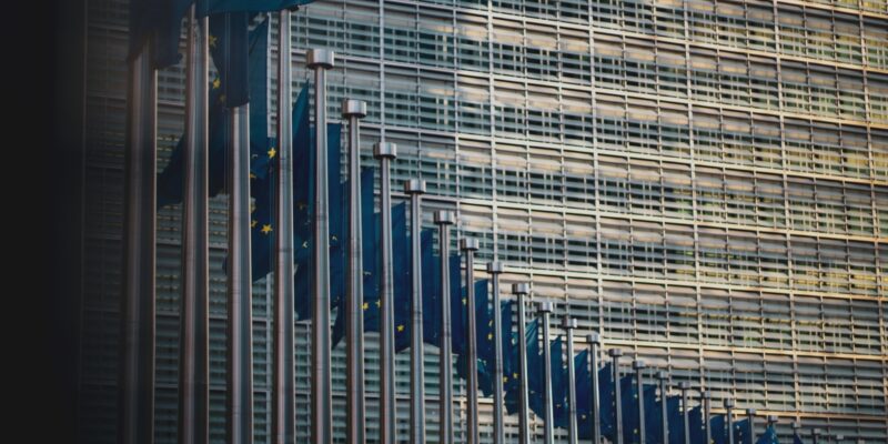 EU flags. Photo by Christian Lue on Unsplash
