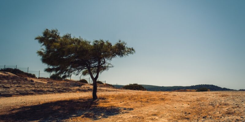 Global warming will make persistent heatwaves, droughts and extended rainy periods more likely..