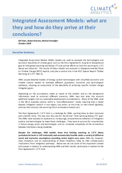 Integrated Assessment Models: what are they and how do they arrive at their conclusions?