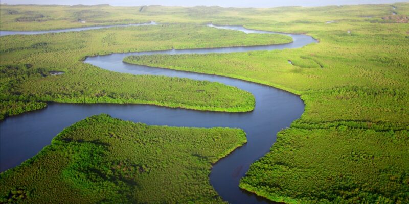 The Gambia. Photo by Dan Roizer on Unsplash