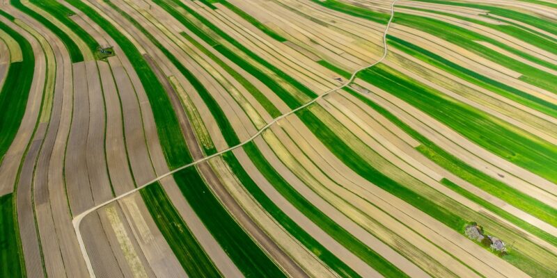 Plowed fields. Dawid Zawila, Unsplash