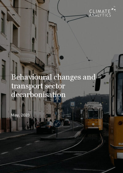 Behavioural changes and transport sector decarbonisation