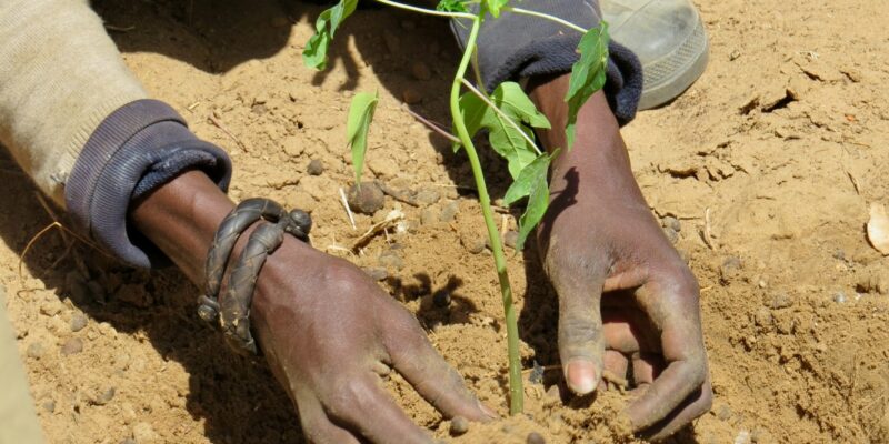 Senegal is one of the Least Developed Countries we supported in the INDC formulation process.