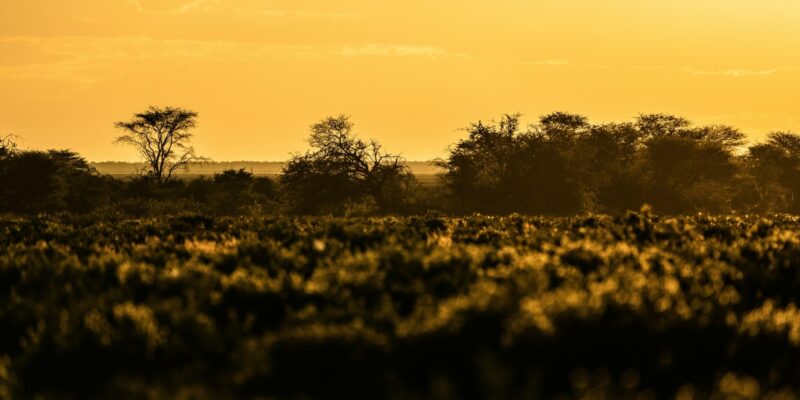 Reaching the Paris Agreement’s 1.5°C limit: are we there yet?