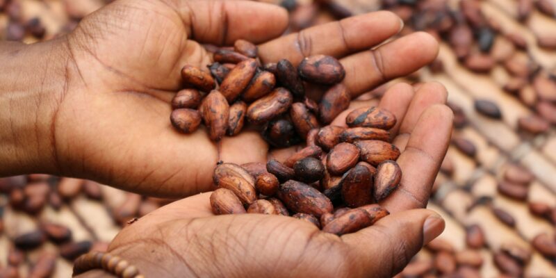 Cocoa beans. Photo by Etty Fidele on Unsplash