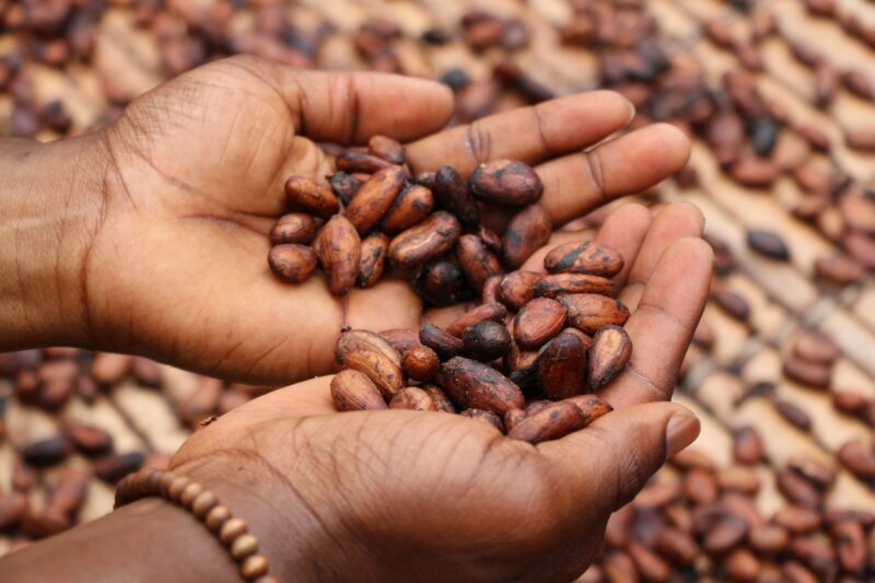 Cocoa beans Photo by Etty Fidele on Unsplash