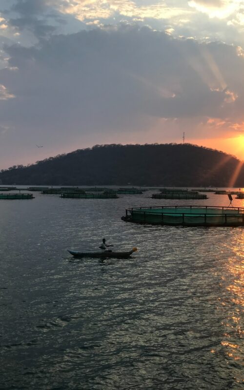 Support for preparing Intended Nationally Determined Contributions