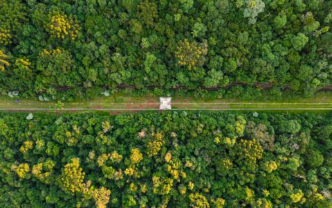 Brazil not on track to achieve 2030 target or 1.5°C-aligned pathway