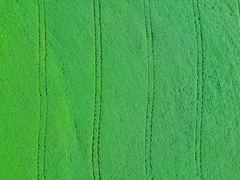 Soy field located in a rural area in the State of Paraná, Brazil.