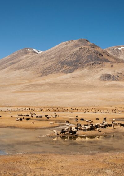 Climate change impacts in Central Asia and their implications for development