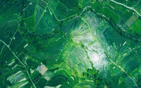 Country briefing: Indonesia