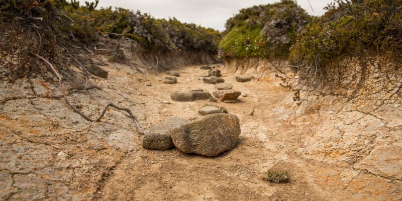 Photo by Matt Palmer on Unsplash