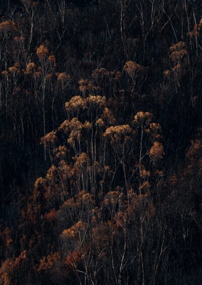 The effects of political knowledge use by developing country negotiators in Loss and Damage negotiations