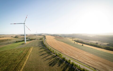 Country briefing: Germany