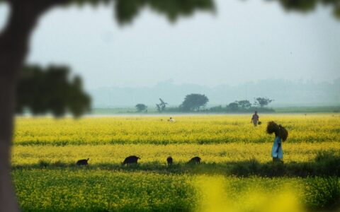 Loss and damage in South Asia: what COP28 needs to deliver for the region