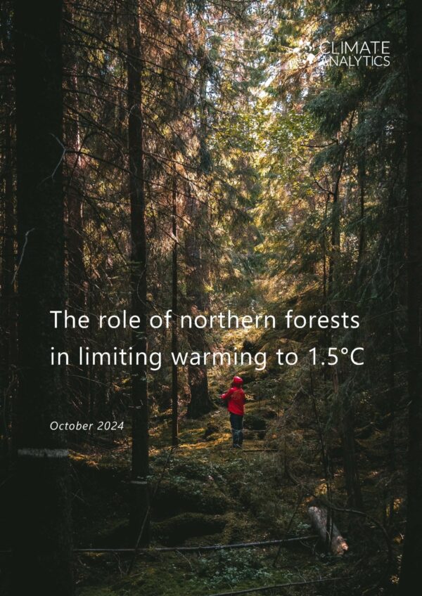 Mitigation Report cover2