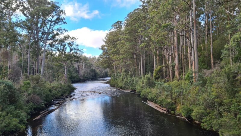 Tahune Forest Airwalk, Southwest TAS, Australia
