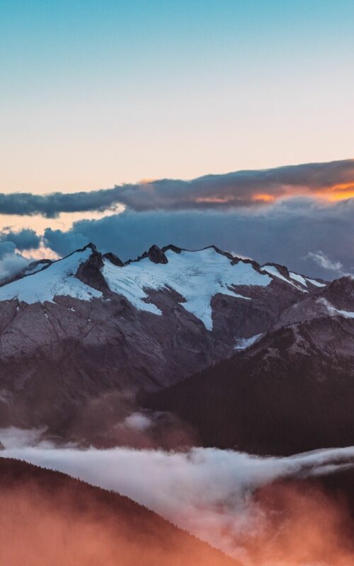 Assessment of mitigation pathways and cost estimates