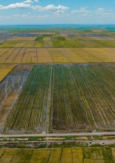 Seasonal forecast of two-metre temperature and precipitation in Tanzania: A hybrid cluster and point-by-point machine learning approach