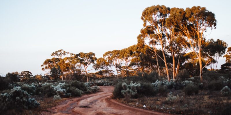 Yes, Australia can beat its 2030 emissions target. But the Morrison government barely lifted a finger.