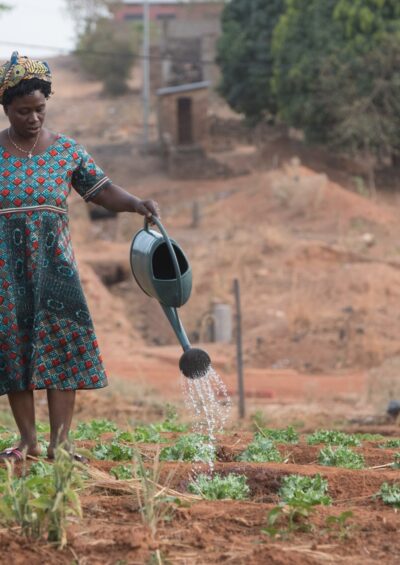 Use and economic benefits of indigenous seasonal climate forecasts: evidence from Benin, West Africa