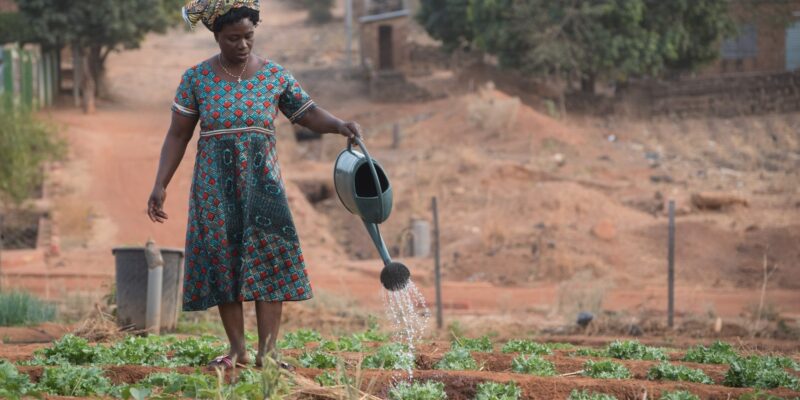A woman watering her garden, Natitinqou, Bénin by Philippe Baret, Unsplash