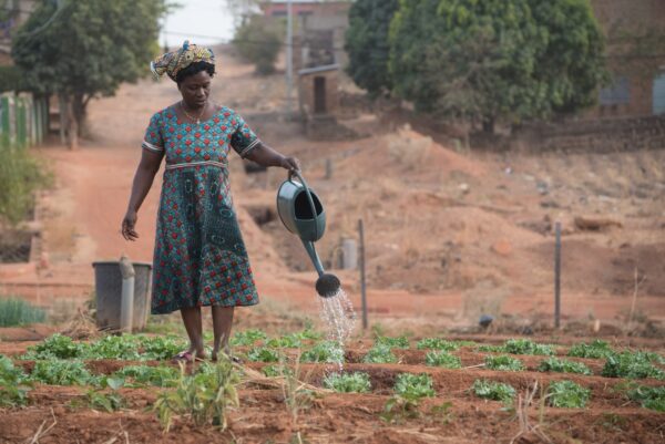 A woman watering her garden, Natitinqou, Bénin by Philippe Baret, Unsplash