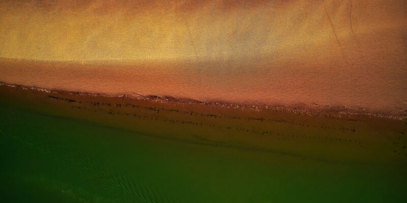 Climate Analytics scientists have served as guest editors for journal regional environmental change.