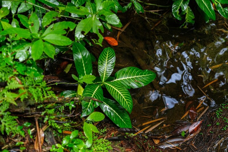 Sarah sheedy, unsplash