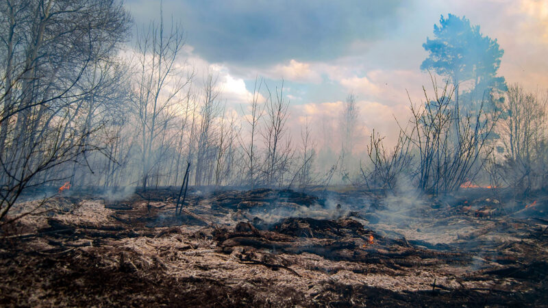 Scorched earth, Adobestock