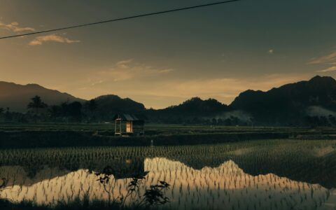 Styvo putra sid G Ie7 Q3 R Pr Wg unsplash 1