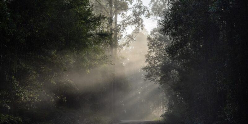 Image by xiSerge from Pixabay