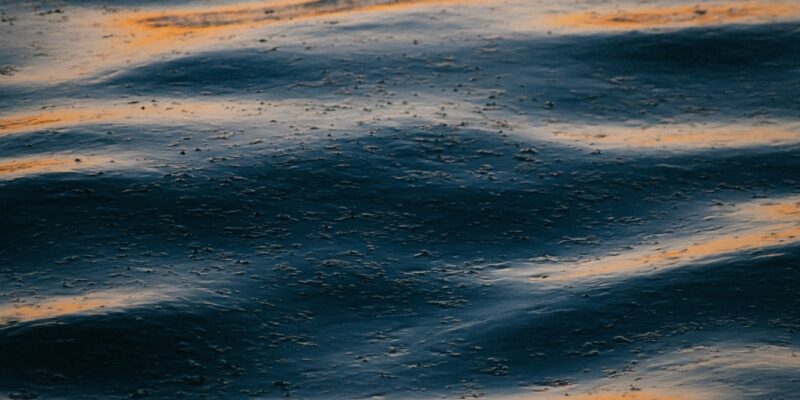 Photo by Tom Barrett on Unsplash