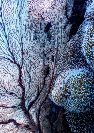 Halfway to Copenhagen, no way to 2 °C