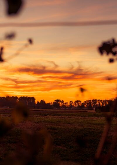 Trajectories to a ‘1.5 °C warmer world’ may result in vastly different outcomes at regional scales