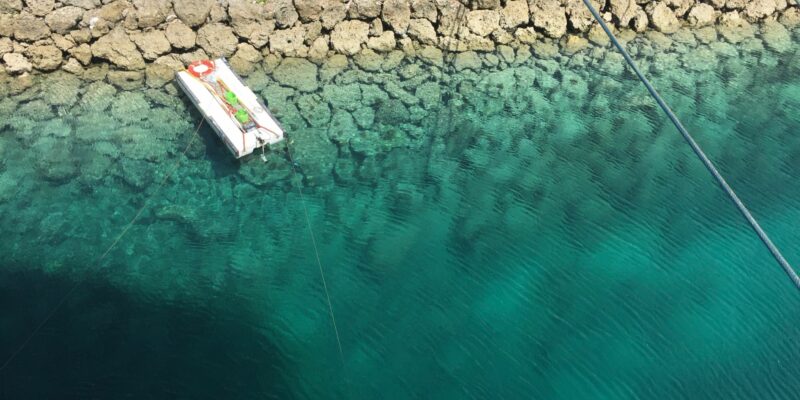 Wharf Rd, Vanuatu. Photo by Tim King on Unsplash