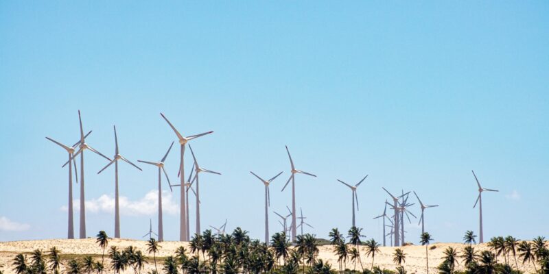 Wind turbines in the State of Ceará, Brazil. Photo by Vitor Paladini on Unsplash