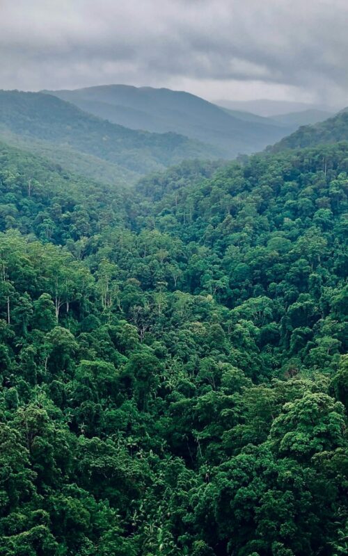 Analysing issues of fairness for carbon dioxide removal