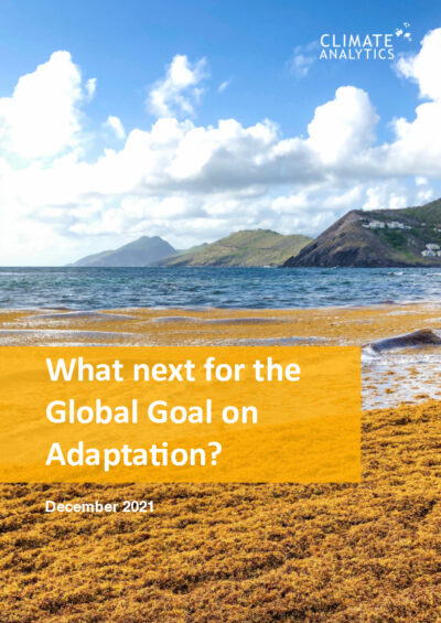 What next for the Global Goal on Adaptation?